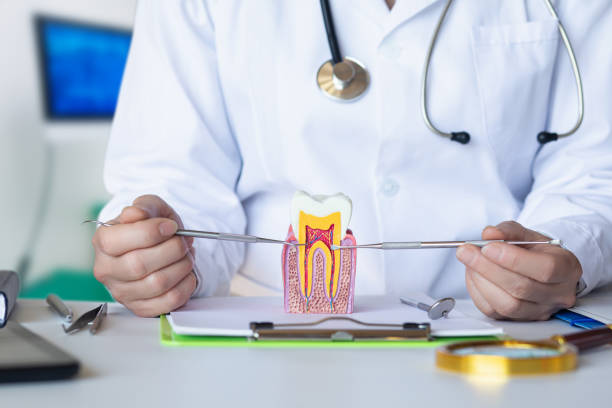 Best Walk-In Emergency Dental Services in Chesapeake Ranch Estates, MD